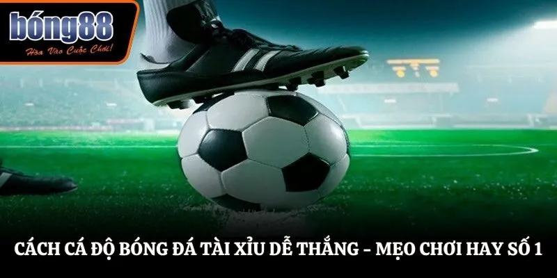 Cách Cá Độ Bóng Đá Tài Xỉu Cực Chuẩn - Top 1 Bí Kíp Dễ Thắng