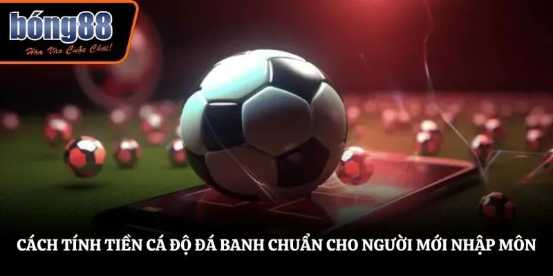 Cách Tính Tiền Cá Độ Đá Banh Chuẩn Cho Người Mới Nhập Môn