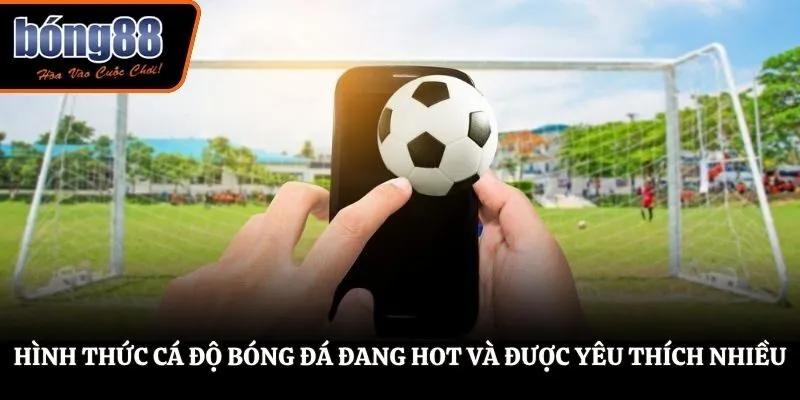 Hình thức cá độ bóng đá đang hot và được yêu thích nhiều