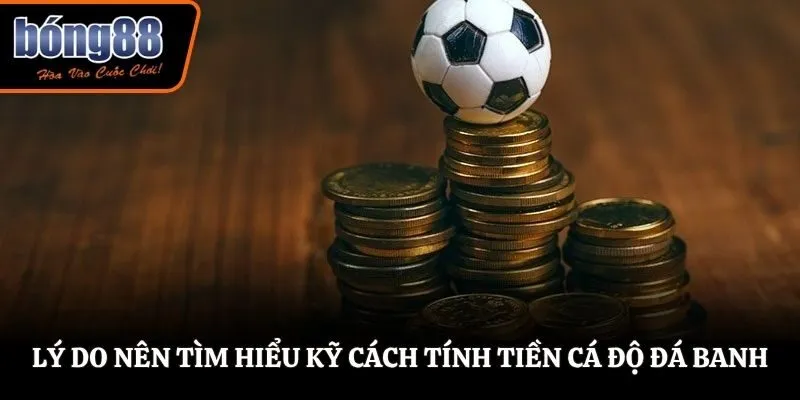 Lý do nên tìm hiểu kỹ cách tính tiền cá độ đá banh