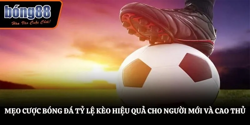 Mẹo Cược Bóng Đá Tỷ Lệ Kèo Hiệu Quả Cho Người Mới Và Cao Thủ