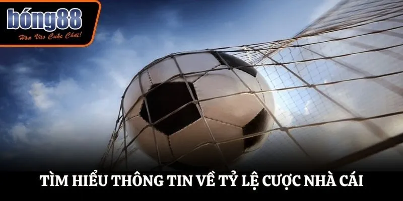 Tìm hiểu thông tin về tỷ lệ cược nhà cái