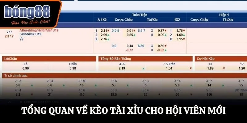 Tổng quan về kèo tài xỉu cho hội viên mới